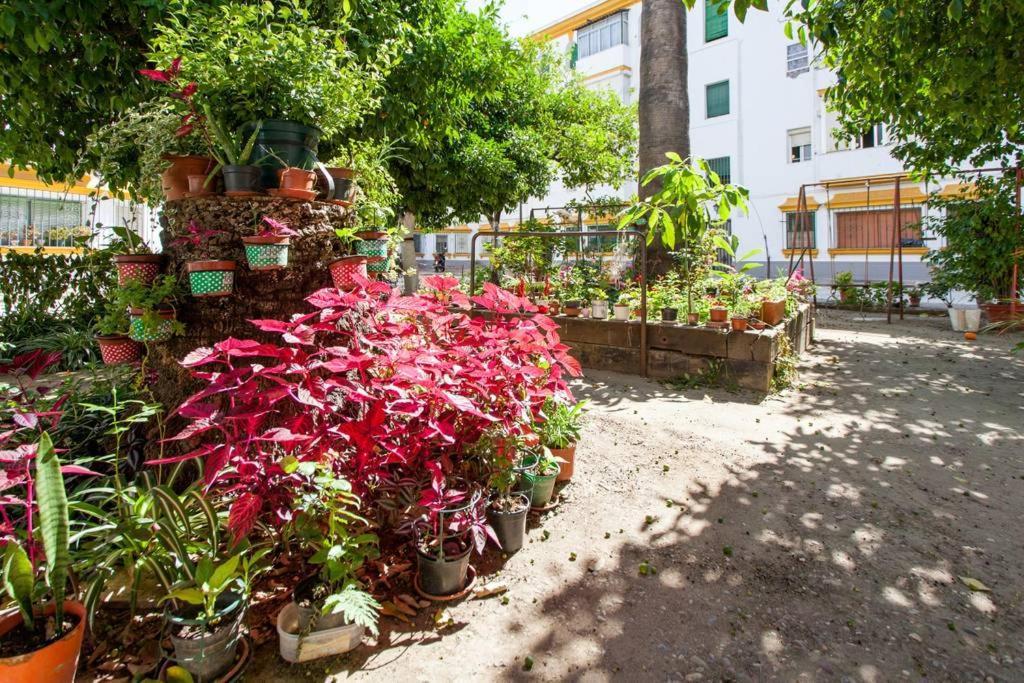 Apartamento A Los Pies Del Alcazar Sevilla Bagian luar foto